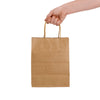 Express Paper Bag Medium [2-LL548]