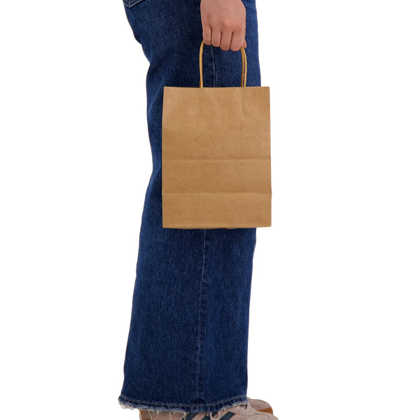 Express Paper Bag Medium [2-LL548]