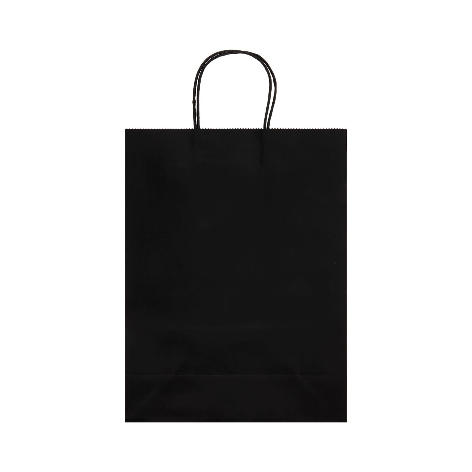 Express Paper Bag Large [2-LL549]