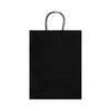 Express Paper Bag Large [2-LL549]