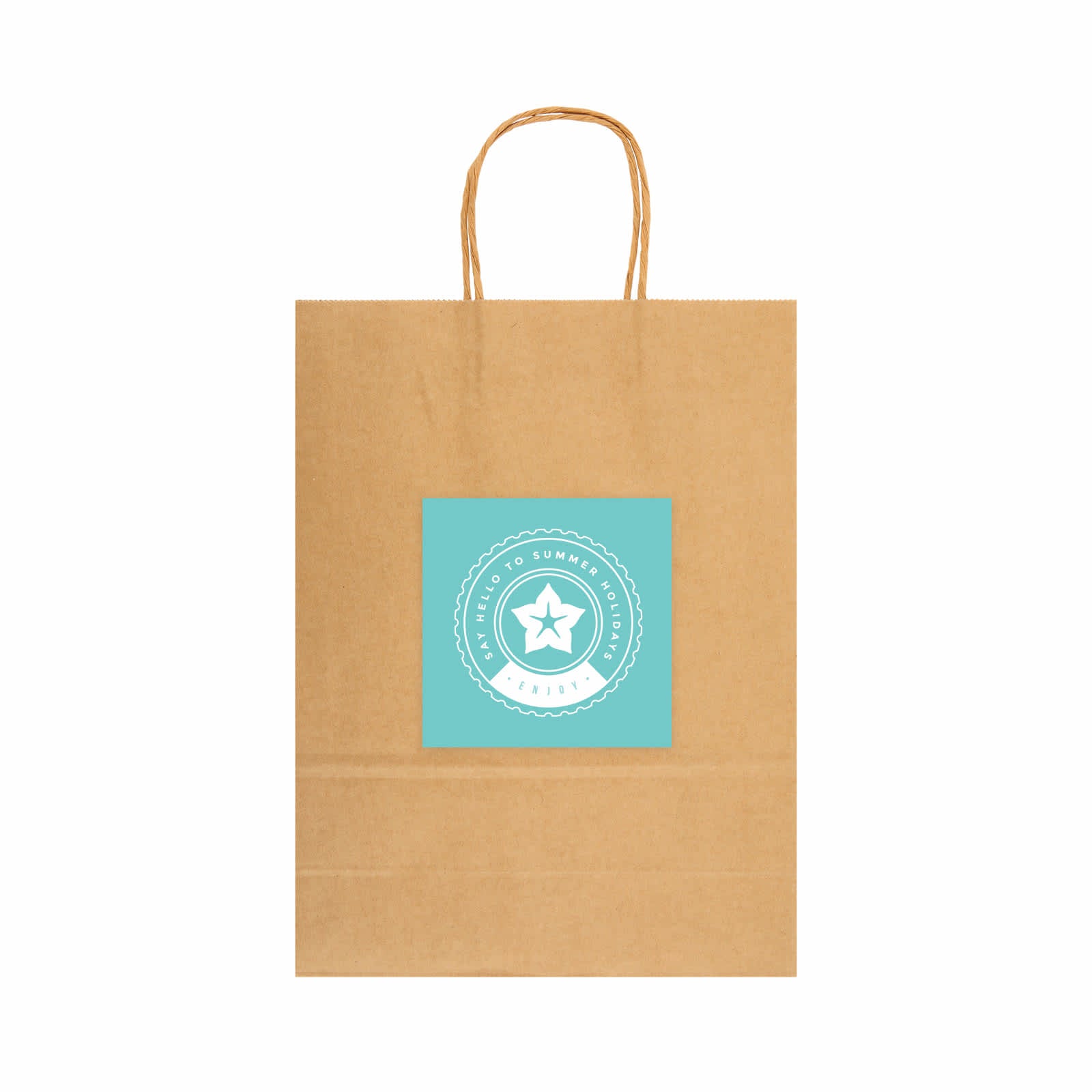 Express Paper Bag Large [2-LL549]