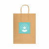 Express Paper Bag Large [2-LL549]