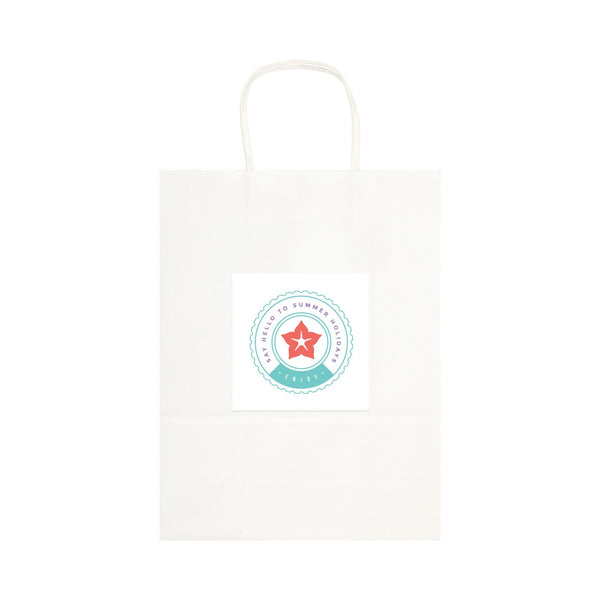 Express Paper Bag Large [2-LL549]