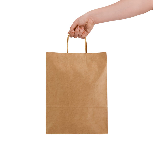Express Paper Bag Large [2-LL549]
