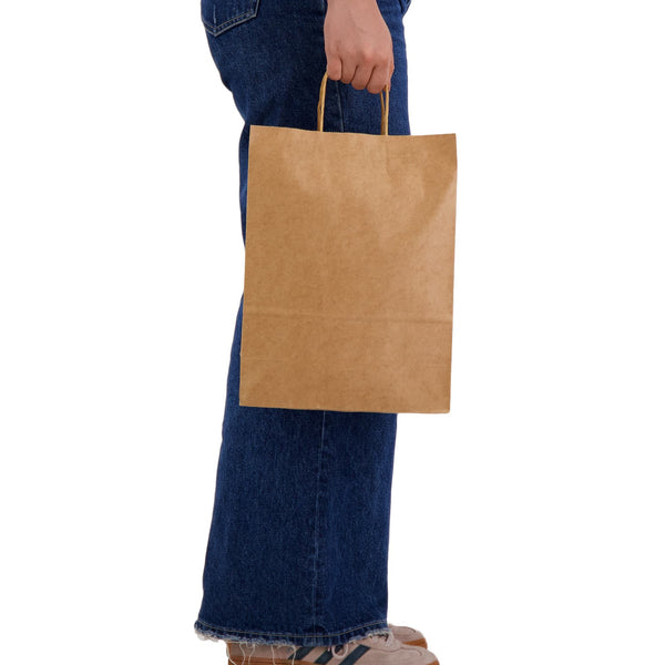 Express Paper Bag Large [2-LL549]