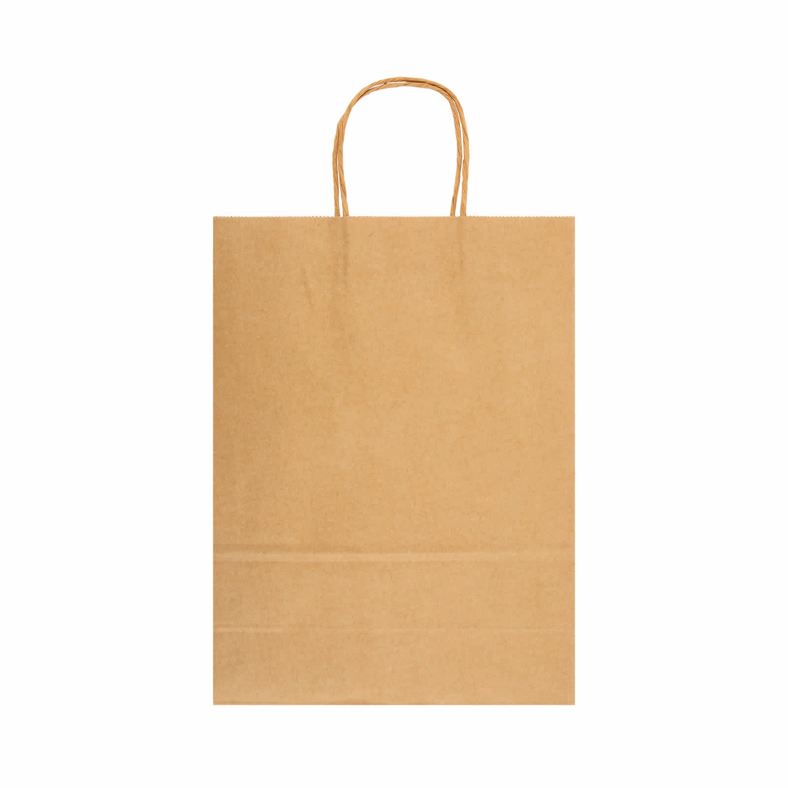 Express Paper Bag Large [2-LL549]