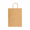 Express Paper Bag Large [2-LL549]