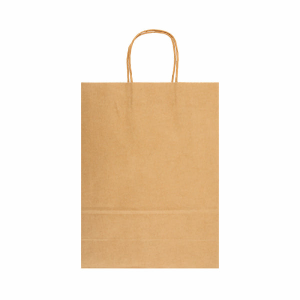 Express Paper Bag Large [2-LL549]
