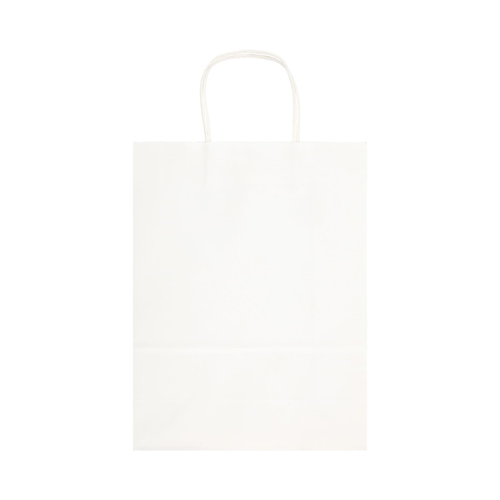 Express Paper Bag Large [2-LL549]