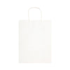 Express Paper Bag Large [2-LL549]