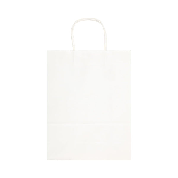Express Paper Bag Large [2-LL549]
