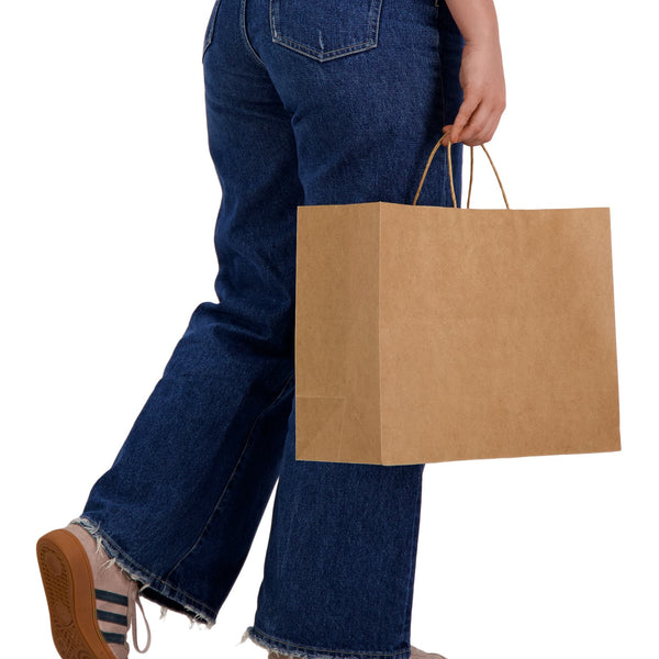 Express Paper Bag Extra Large [2-LL562]