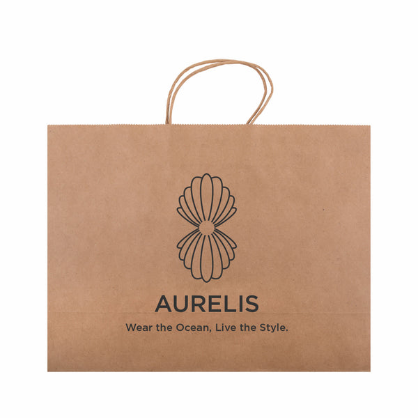 Express Paper Bag Extra Large [2-LL562]