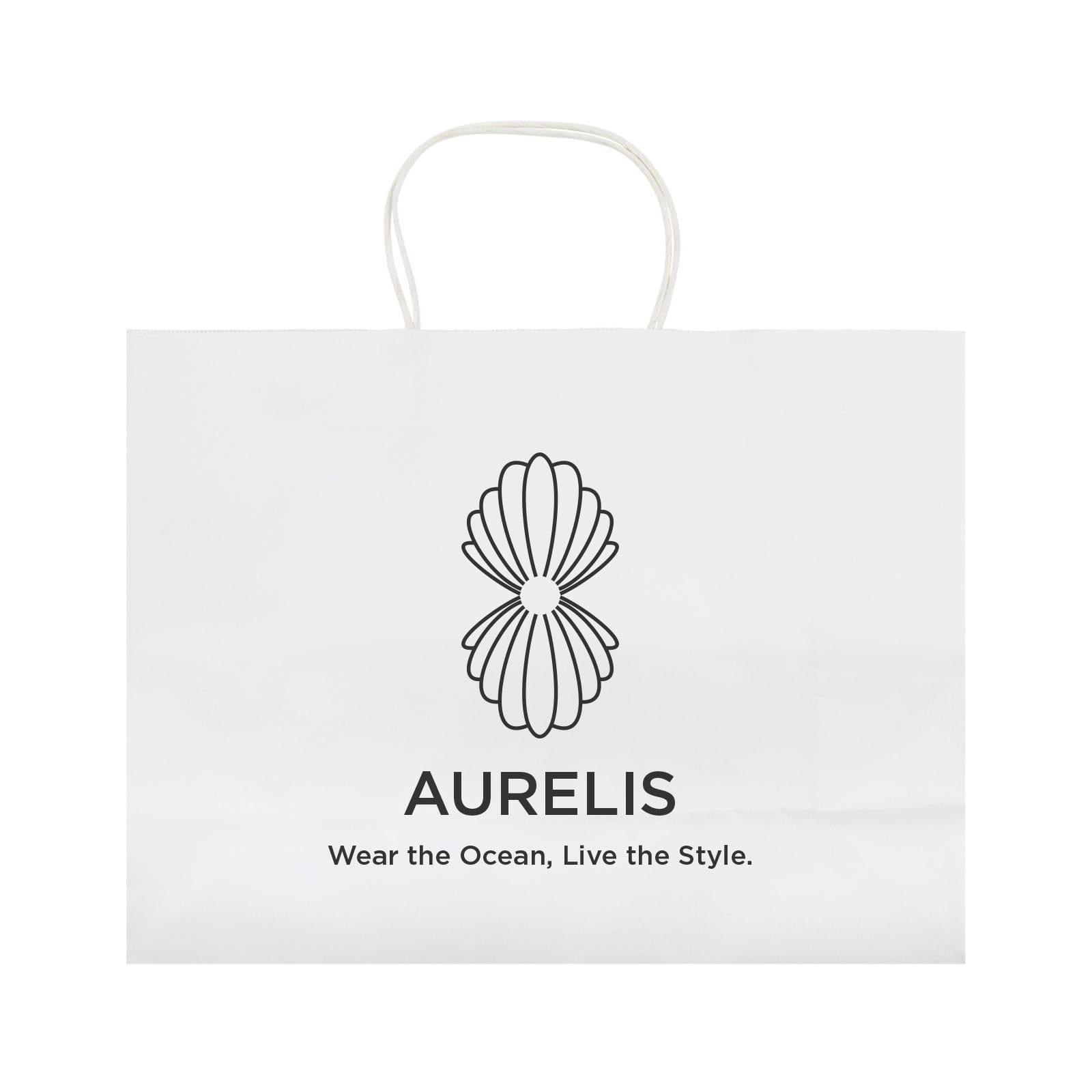 Express Paper Bag Extra Large [2-LL562]