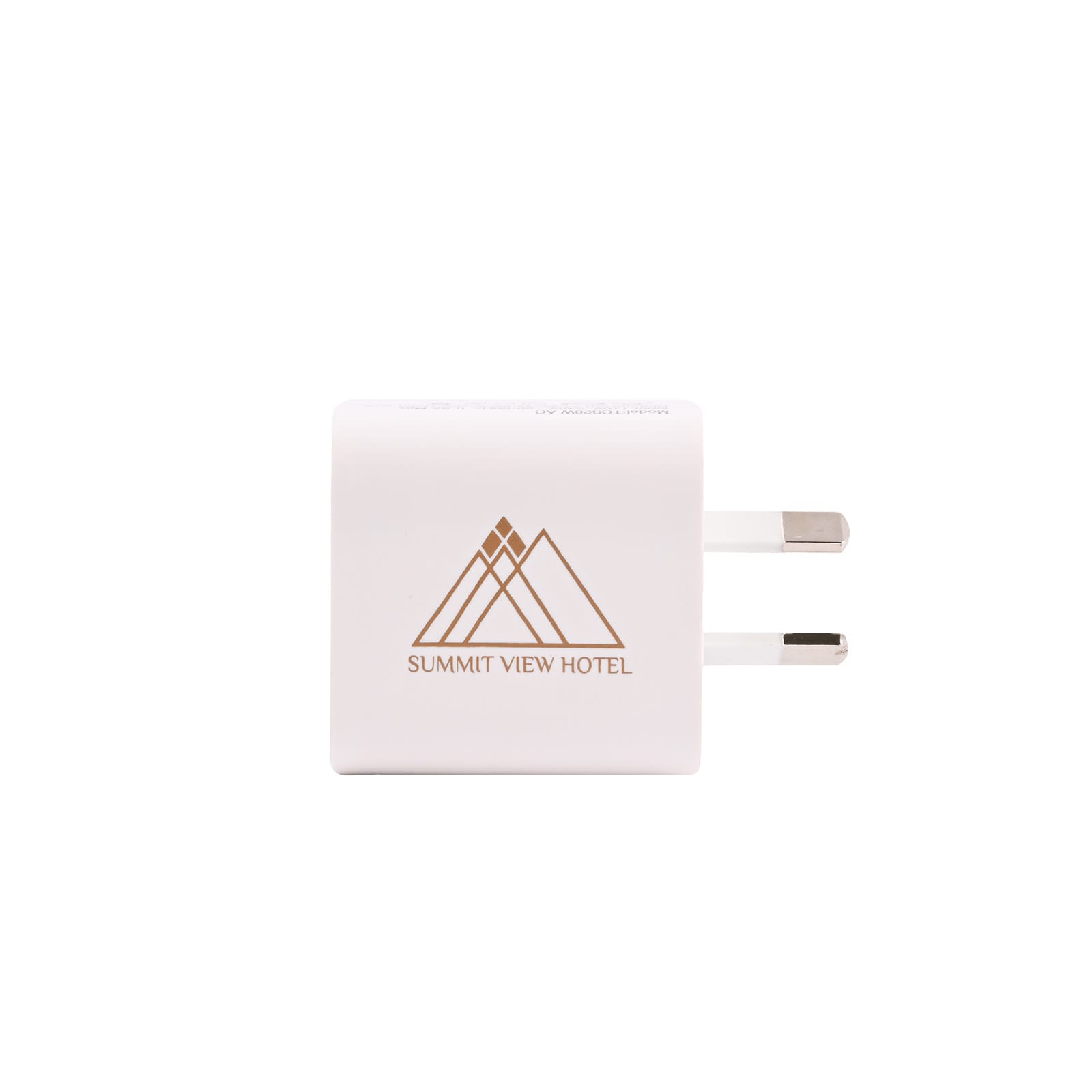Paramount Wall Charger [2-LL9503]
