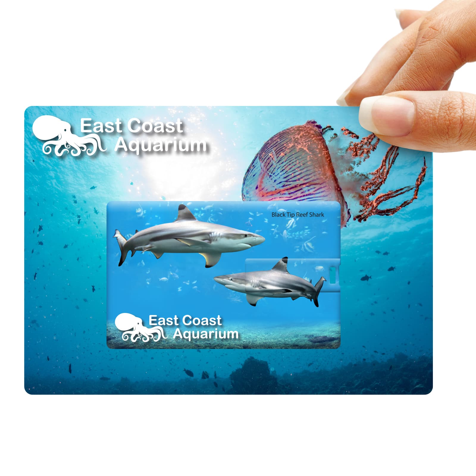 Credit Card Flash Drive [2-LL9605]