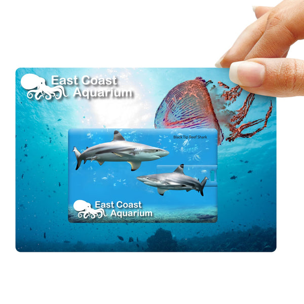 Credit Card Flash Drive [2-LL9605]
