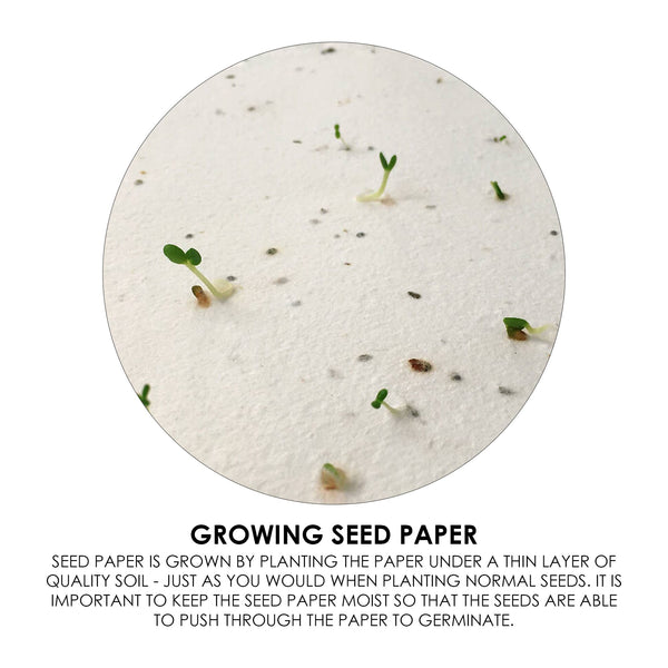Corn Poppy Seed Sticky Note Pad [19-MH015]