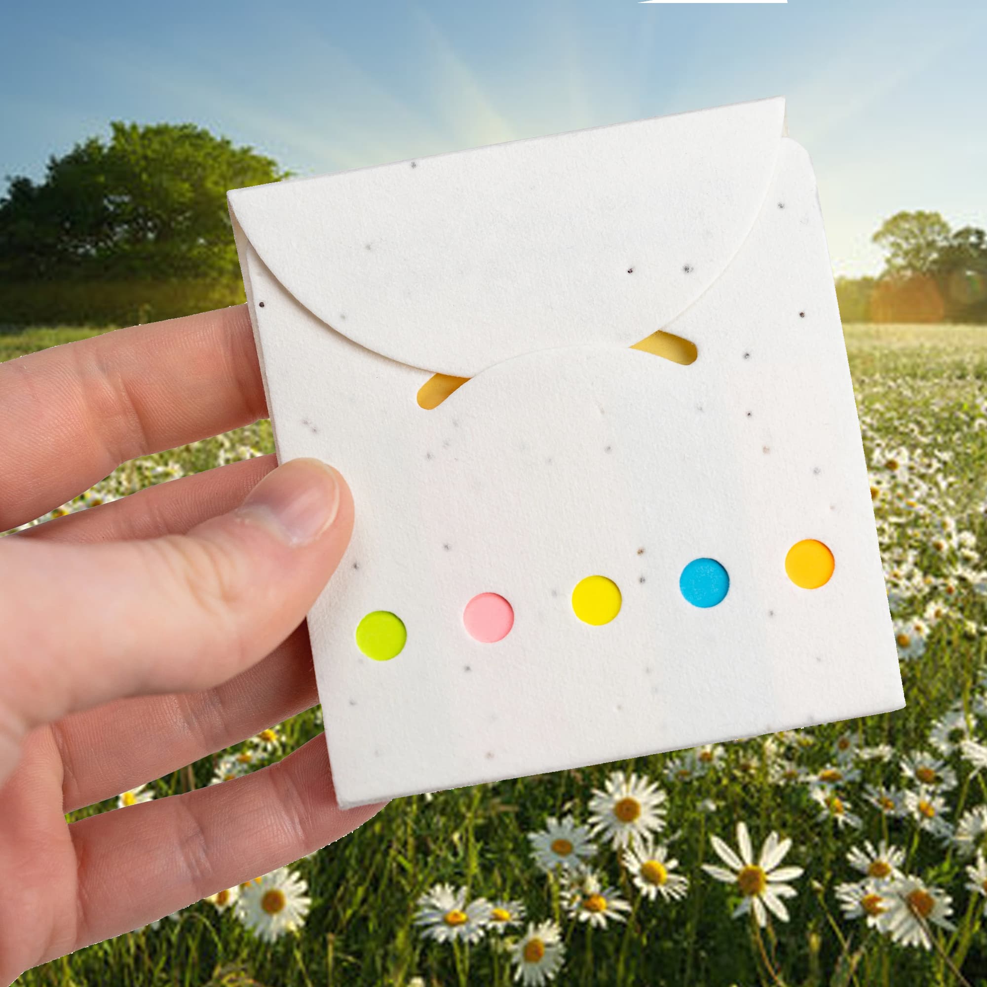 Daisy Seed Sticky Note Pad [19-MH016]