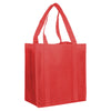 Non Woven Shopping Bag [19-NWB003]
