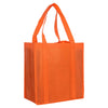 Non Woven Shopping Bag [19-NWB003]