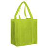 Non Woven Shopping Bag [19-NWB003]