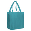 Non Woven Shopping Bag [19-NWB003]