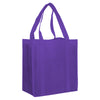 Non Woven Shopping Bag [19-NWB003]