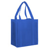 Non Woven Shopping Bag [19-NWB003]