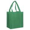 Non Woven Shopping Bag [19-NWB003]