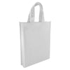 Non Woven Trade Show Bag [19-NWB007]