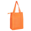 Non Woven Cooler Bag with Top Zip Closure [19-NWB015]