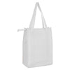 Non Woven Cooler Bag with Top Zip Closure [19-NWB015]