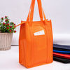 Non Woven Cooler Bag with Top Zip Closure [19-NWB015]