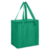 Non Woven Cooler Bag with Zipped Lid [19-NWB016]
