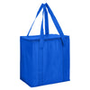 Non Woven Cooler Bag with Zipped Lid [19-NWB016]