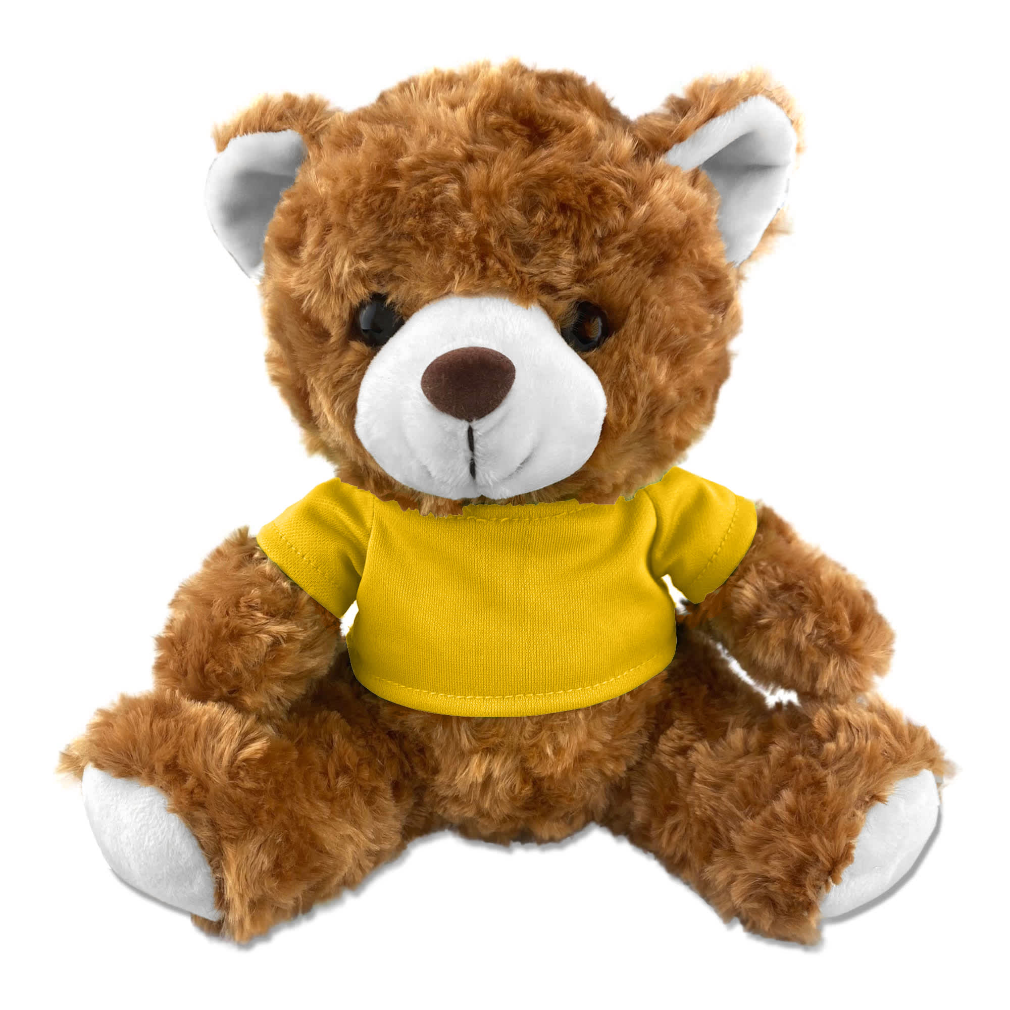 Teddy Bear Plush [19-PL001]