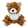 Teddy Bear Plush [19-PL001]