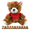 Teddy Bear Plush [19-PL001]