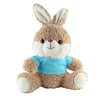 Rabbit Plush [19-PL010]