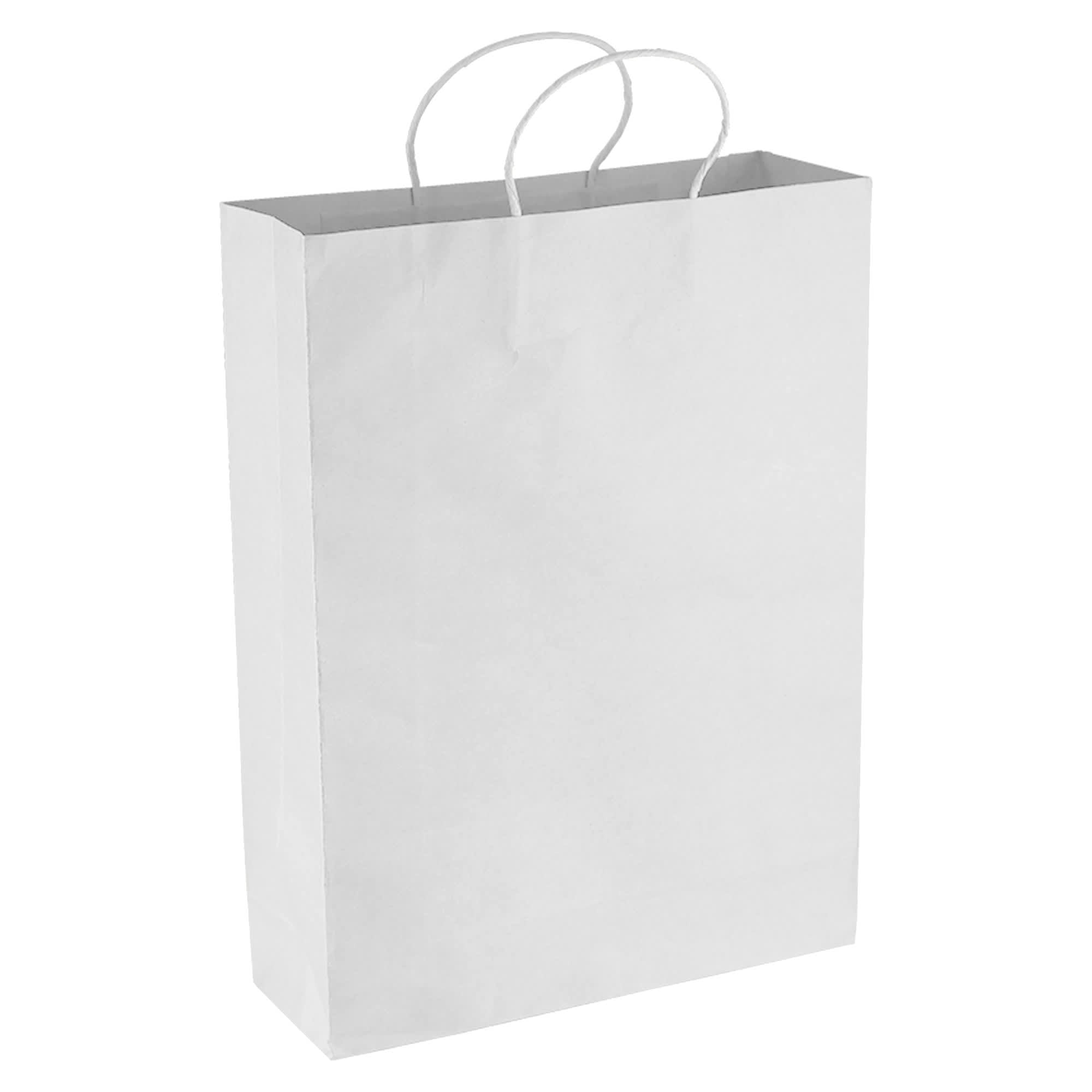 Paper Kraft Shopping Bag [19-PPB007]