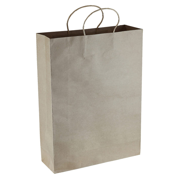 Paper Kraft Shopping Bag [19-PPB007]