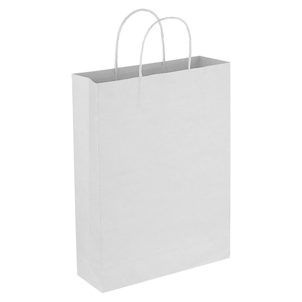 Paper Trade Show Bag [19-PPB008]