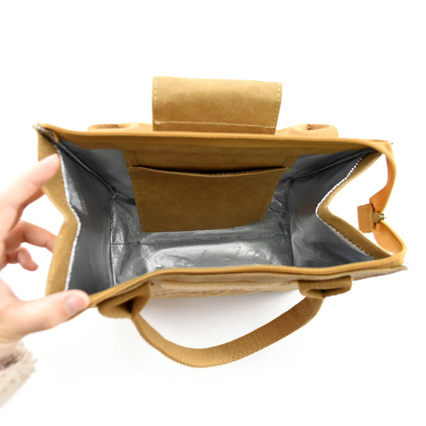 Paper Cooler Lunch Bag [19-PPB013]