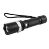 Danube Torch [19-TCH003]