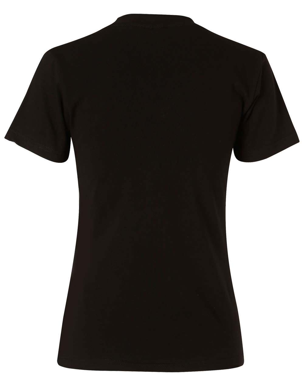 Ladies VNeck S/S Tee [53-TS04A]