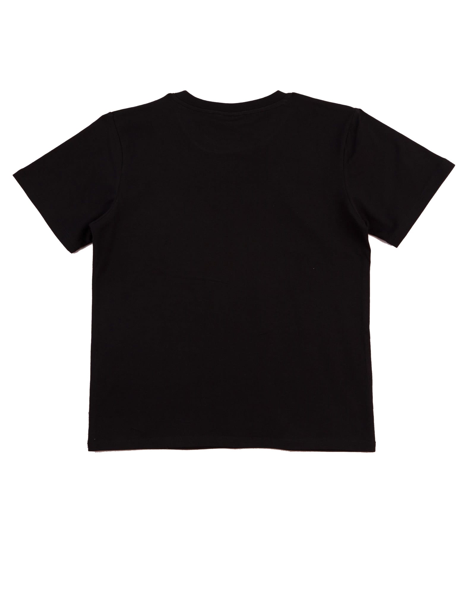 Mens fitted stretch tee [53-TS16]