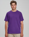 Mens Cotton Semi Fitted Tee [53-TS37]