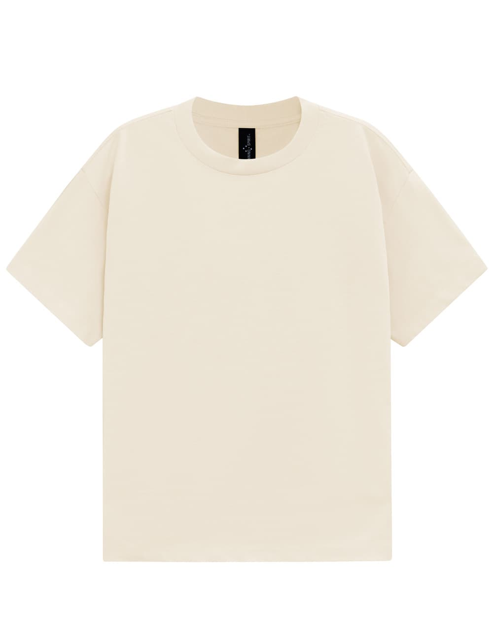 Unisex Heavy Cotton Oversized Tee [53-TS50]