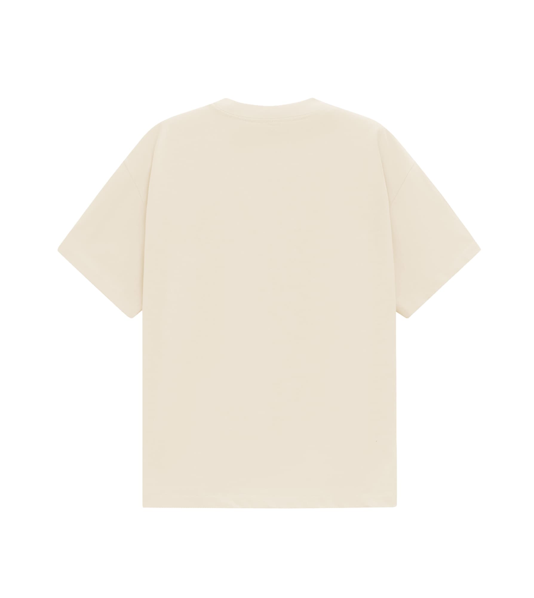 Unisex Heavy Cotton Oversized Tee [53-TS50]